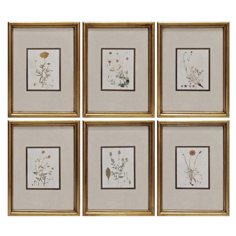 Fleur Sauvage Botanical Collection Framed Wall Art - Set of 6