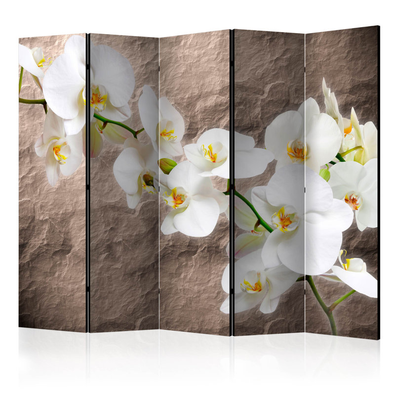 Omalley Solid Wood Folding Room Divider, 5