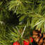 Arbre de Noël 72 'Jamarrie
