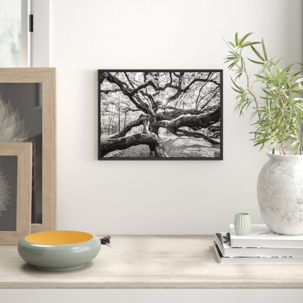 Gerahmtes Wandbild Baum