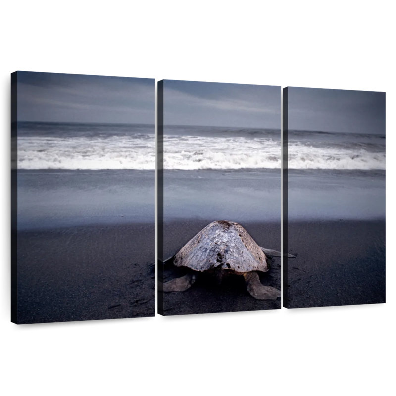 Brampt Ridley Sea Turtle, 28" H x 45" W