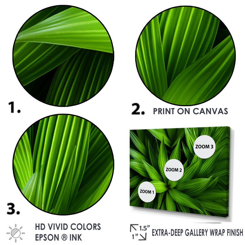 Greenerys Gaze sur impression sur toile, H 16 po x l 32 po x P 1 po, Cadre flottant noir