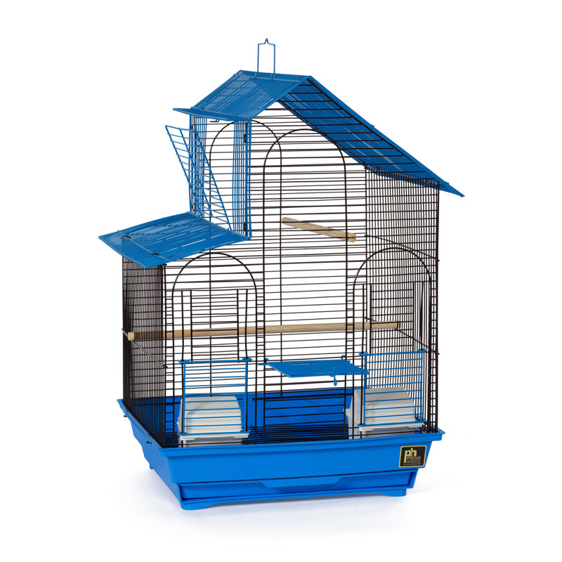 Cage à oiseaux avec perchoir 24 po, Bleu / noir