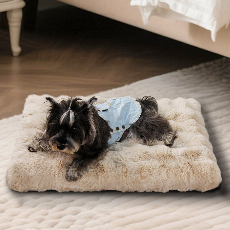 Dog Bed, Beige, 10cm H x 76cm W x 51cm D
