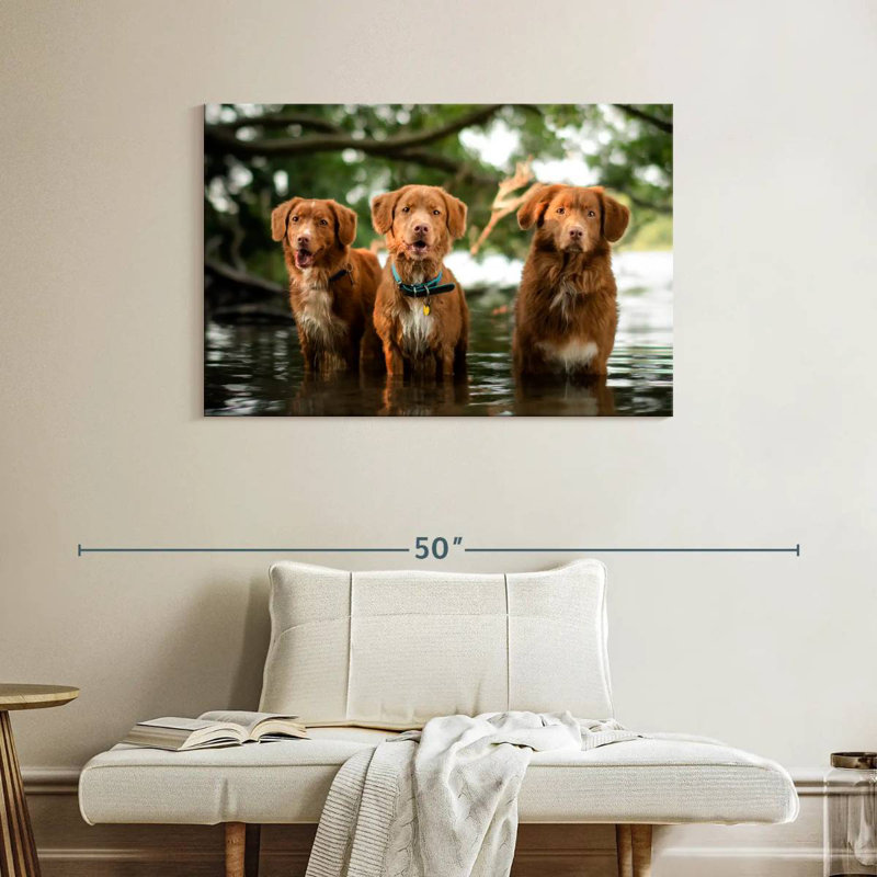 Brampt Tollers In The Water, 26" H x 39" W