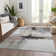 Machine Washable Indoor/Outdoor Chayden ACN1097 Mocha Rug