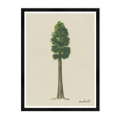 Evergreen I Print