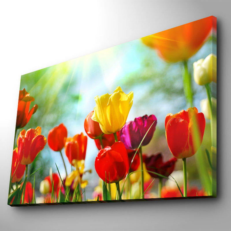 Superbe peinture décorative sur toile, 27,6 po x 39,4 po | 100% toile de suède, cadre 100% bois (épaisseur: 1,2 po) | Parfait pour la décoration intérieure, le salon et les espaces de bureau - une œuvre d'art élégante et accrocheuse