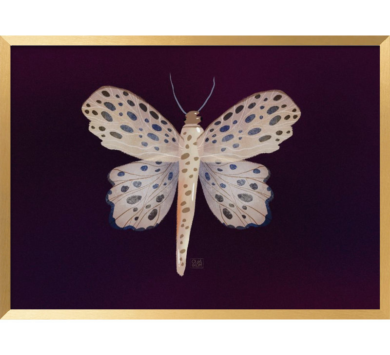 Nature Inspired "Butterfly" Framed Print Wall Art, 16" H x 24" W