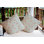 Housse et insert de coussin décoratif intérieur / extérieur en polyester HH Revival