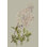 " Botanical Array II " by Vision Studio Painting Print