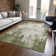 Aleighna Area Rug with Non-Slip Backing