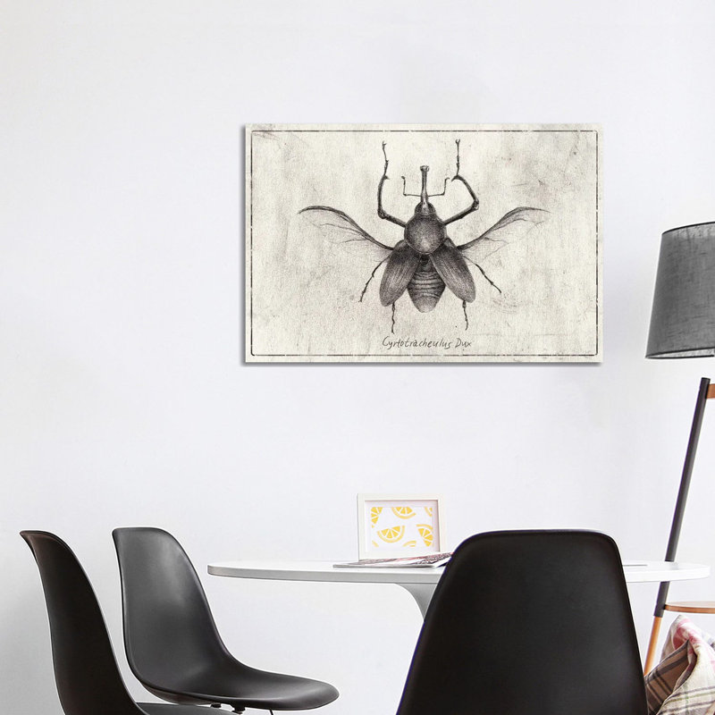 Cyrtotracheulus Dux by Mike Koubou - Wrapped Canvas Print, 66.04cm H x 101.6cm W x 1.905cm D