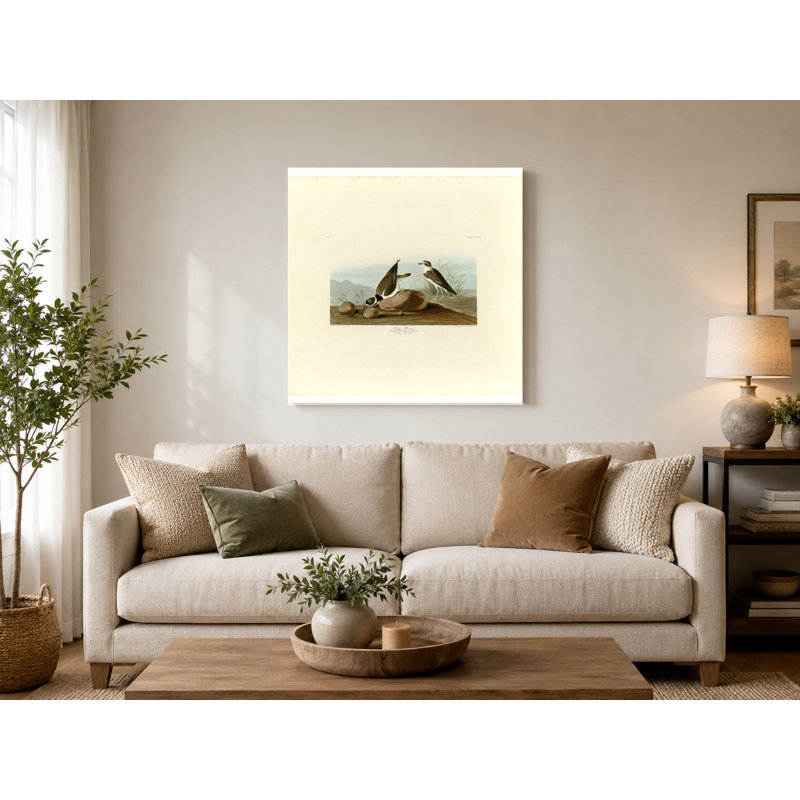 Ring Plover (plaque 330) - art mural carré sur toile, 12" W x 12" H