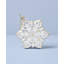 2025 Blown Glass Snowflake Ornament