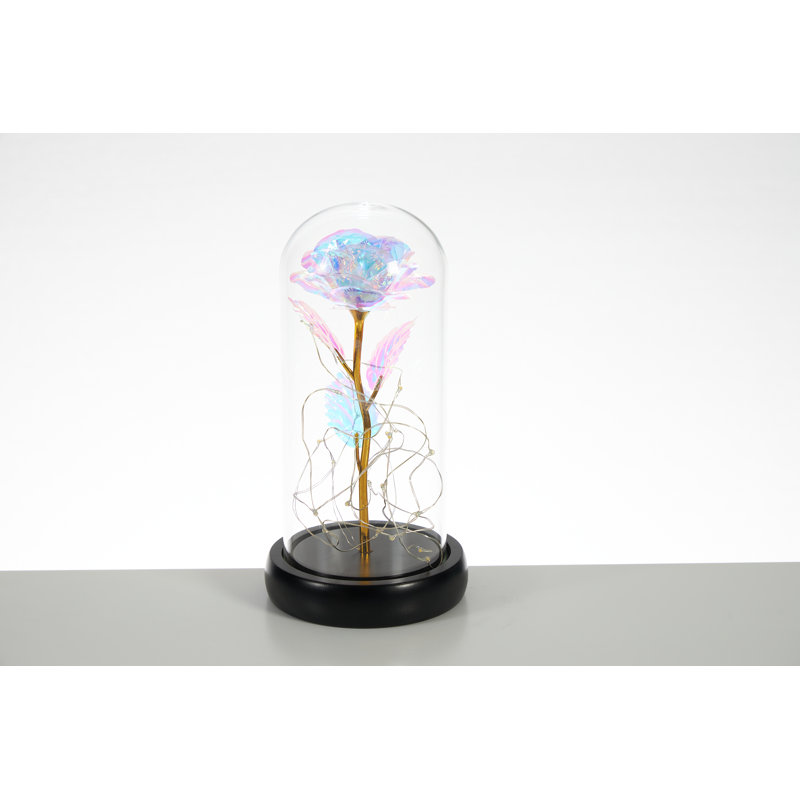 Darrah Landscape & Nature Cloche Or Water Globe