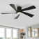Teulon 52'' Modern Large Dimmable Ceiling Fan with LED Lights and Remote Control