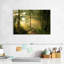 Alvord Forest Road - soleil-107718322