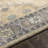 Hiers Oriental Indoor Rug-1585173556