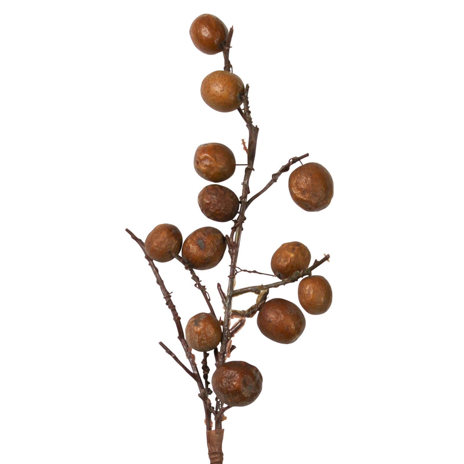 Botanical Stems