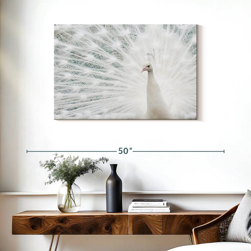 Plume de paon blanc neige Brampt