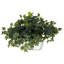 Lierre artificiel 9,75 "en pot