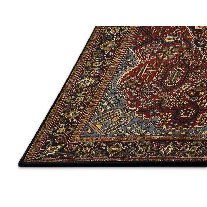 Joana Southwestern Indoor Rug, Rectangle 2' x 3'