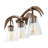  Asim Southwestern Bohemian Resin/Seeded Glass Faux Antler LED Vanity Light-899069923