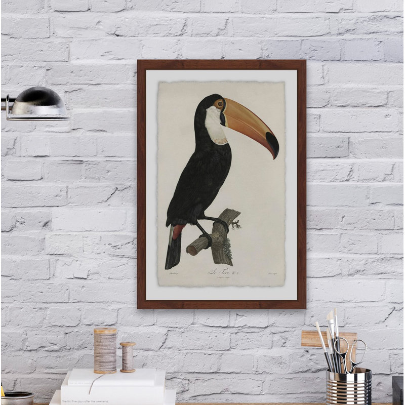 «Quiet Toucan», reproduction d'art encadrée, H 30 po x l 20 po x P 1,5 po