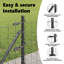 Galvanised Steel Border Fencing-817747348-817747359