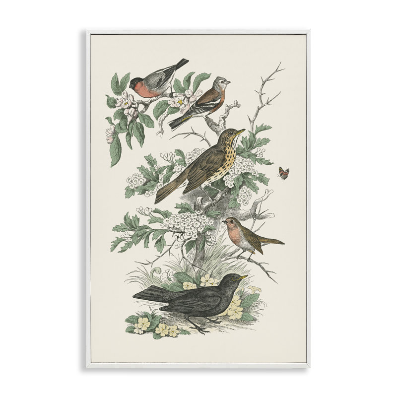 «Honeybloom Birds Perché», estampe numérique encadrée par Wild Apple Portfolio, Giclée encadrée blanc bord de mer