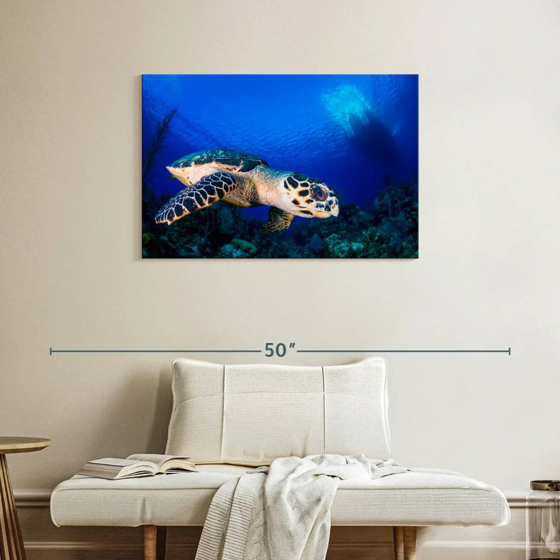 Brampt Underwater Hawksbill Turtle, 24" H x 36" W