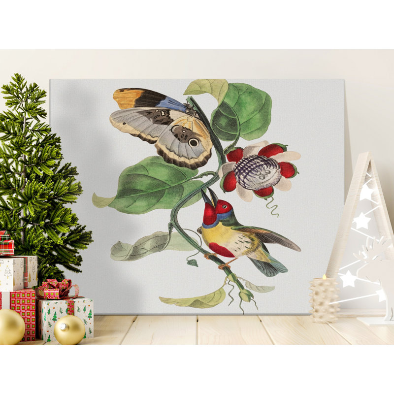 Ottinger Wrapped Canvas Print Set, 36x24
