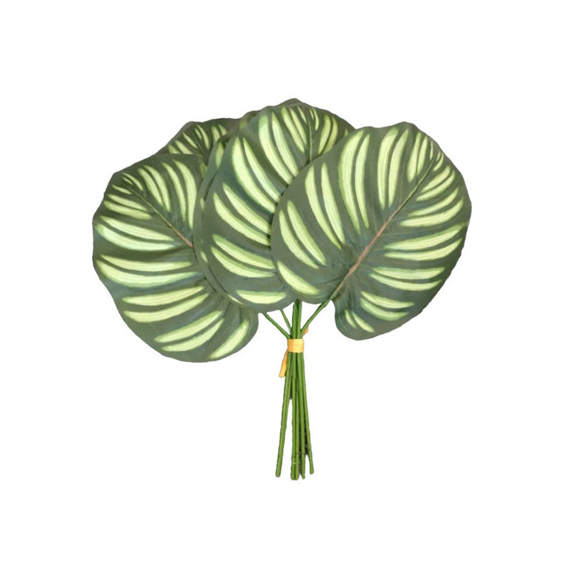 30cm Plant
