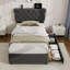 Storage Bed-156273614