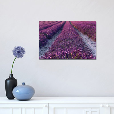 Lavender Symphony II by Stefan Hefele - Wrapped Canvas Print