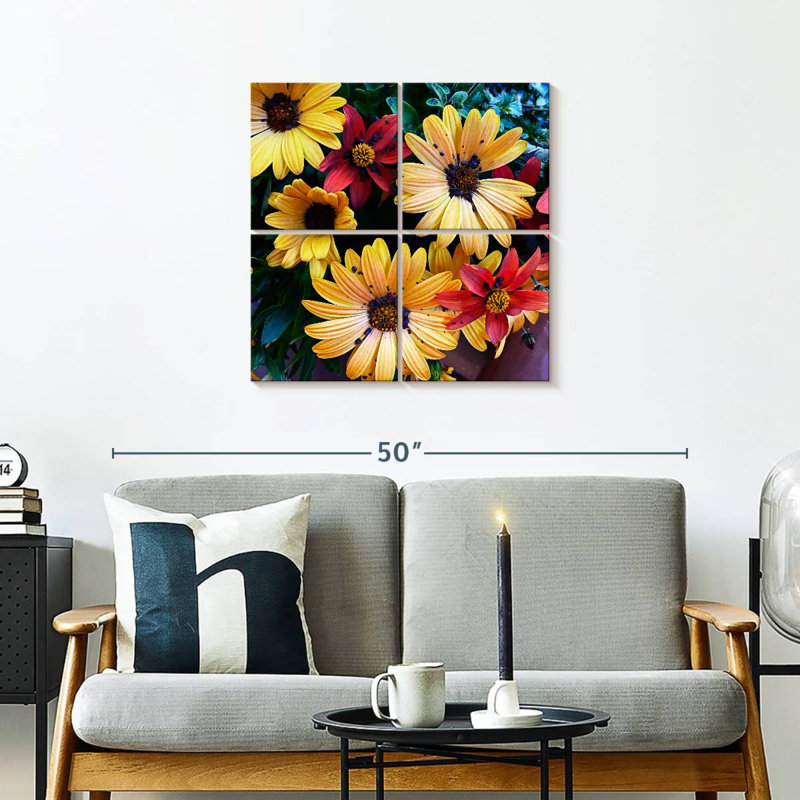 Harnek Colorful Bunch