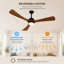 Ventilateur de plafond de 62 po à 3 pales en bois massif avec lumière et télécommande-322523513-322523519-480923373