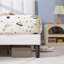 Lit Wiebe-92191466