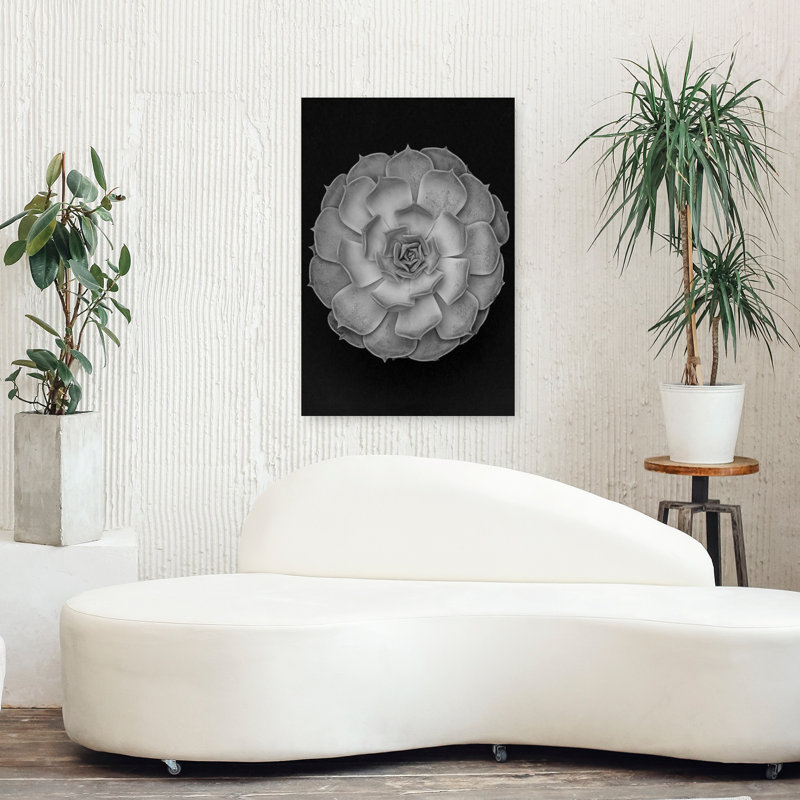 «Succulent Graptoveria Baw 001 Abstract Contemporary Cactus Succulent Landscape Nature», art mural, H 36 po x l 24 po