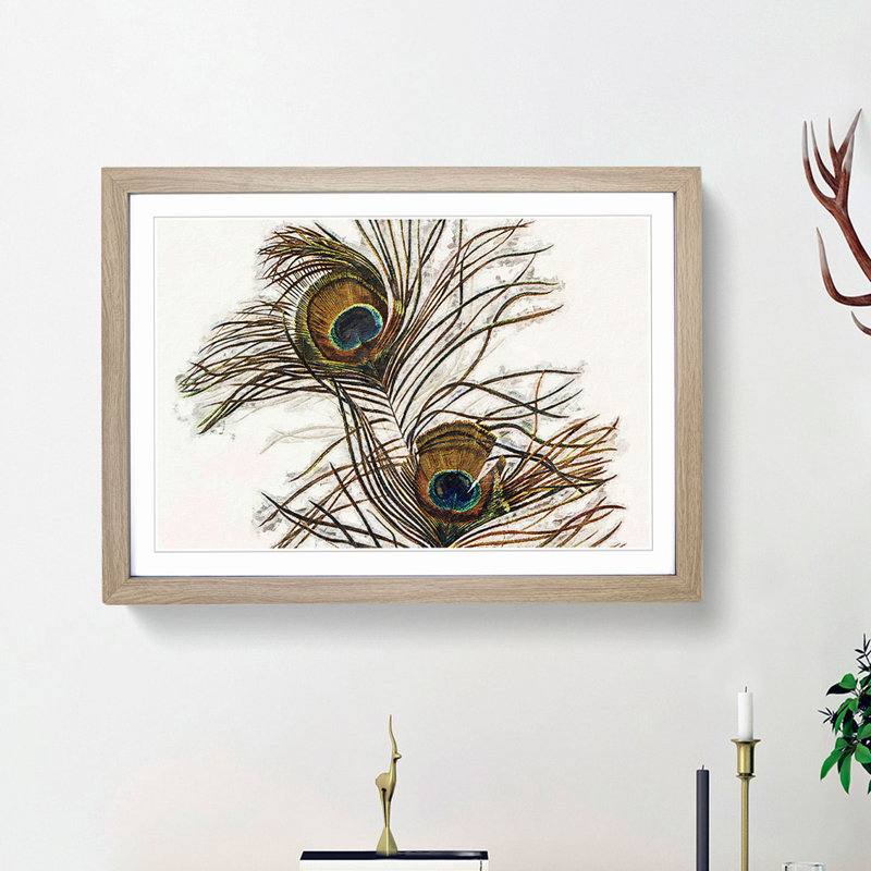 Vintage Peacock Feather Illustration - Picture Frame Painting Print, Oak Framed, 27cm H x 36cm W x 2cm D