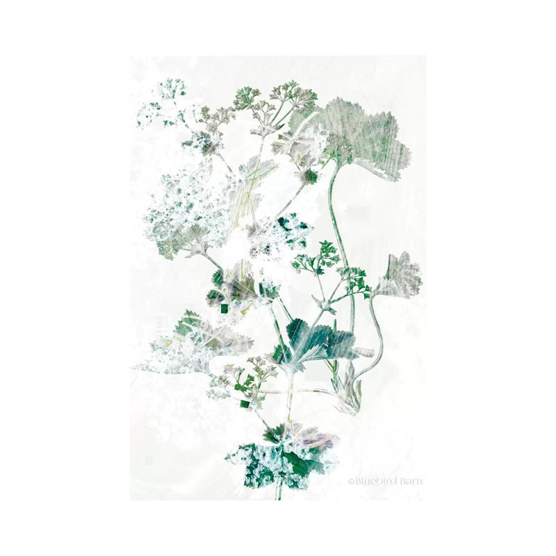 Geranium Botanical by Bluebird Barn - Wrapped Canvas Painting, 66.04 cm H x 45.72 cm W x 1.91 cm D