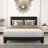 Litta Upholstered Platform Bed-165005748-165005755