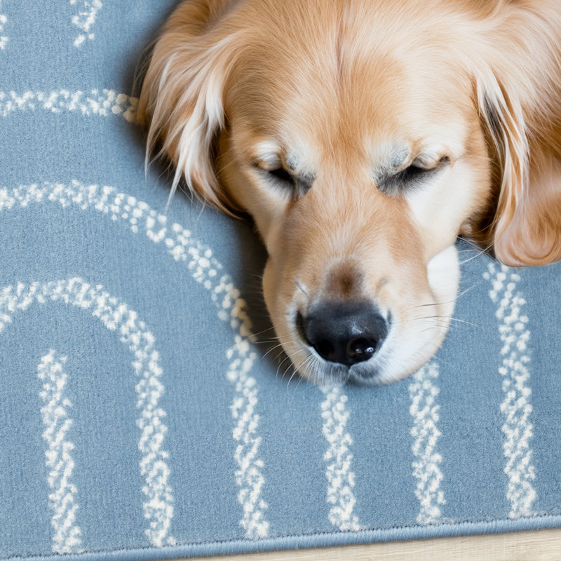 Tapis bleu crème à mailles abstraites Fresno, Rectangle 5 pi 3 po x 7 pi 5 po