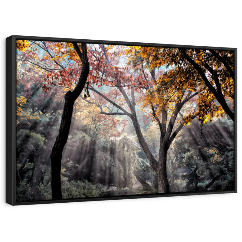 " Forest Sun Rays ", 37" H x 25" W