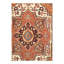 Oriental Area Rug