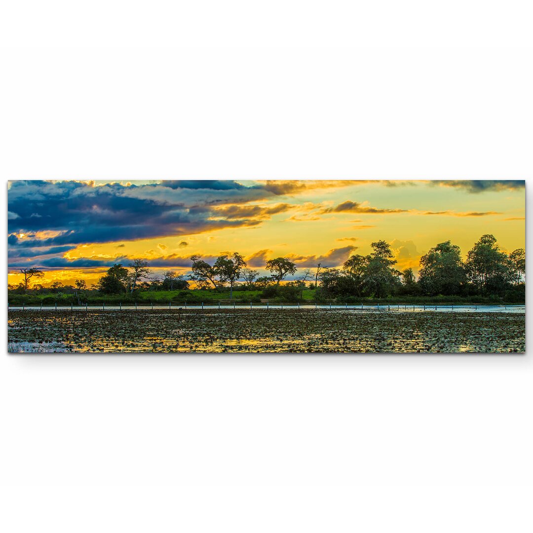 Leinwandbild Farbenfroher Sonnenaufgang im Pantanal Sumpf