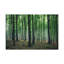 No Frame Print on Canvas