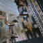 Photos des clients 2 de 2