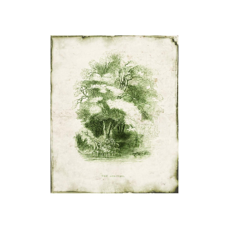 Evergreen V Print by Zoey Riley, 29" H x 24" W x 1.5" D, Glass Coat